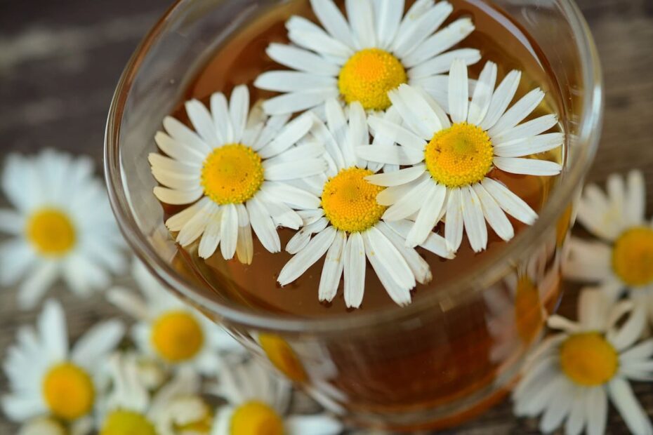 Uma xícara fumegante de chá de camomila, infundida com flores douradas, em uma tarde tranquila